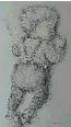 St?rrelse: 54x71
Pris: 300